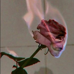 Meet your Posher, Kathe